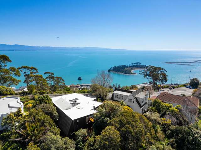 137 Princes Drive Nelson_4