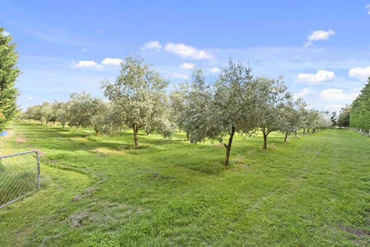 540 Finlays Road West Melton_16