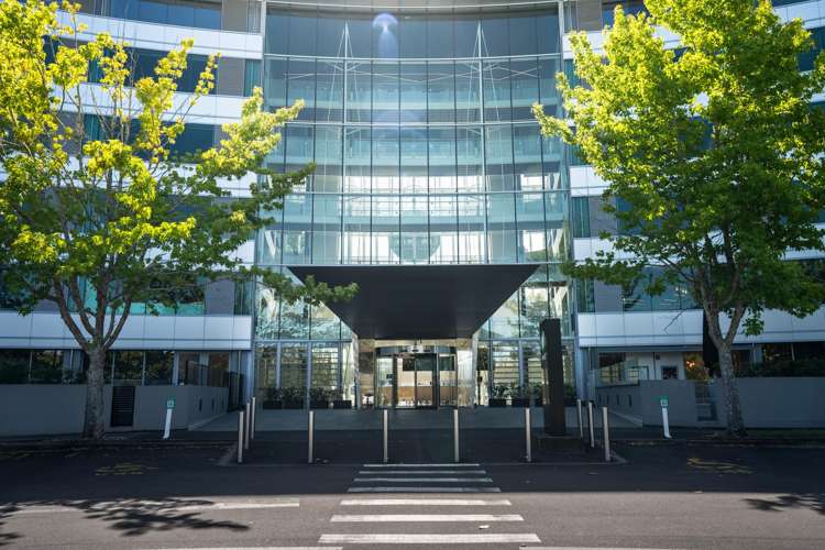 74 Taharoto Road Takapuna_7