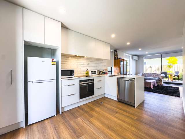 2/21 Clarence Street Addington_1