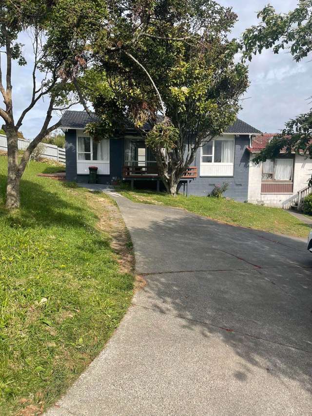 Nice family 3 bedrooms house in Mt Roskill