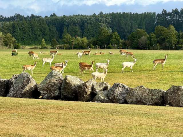 18 Meadowlinks Lane Pleasant Point_1