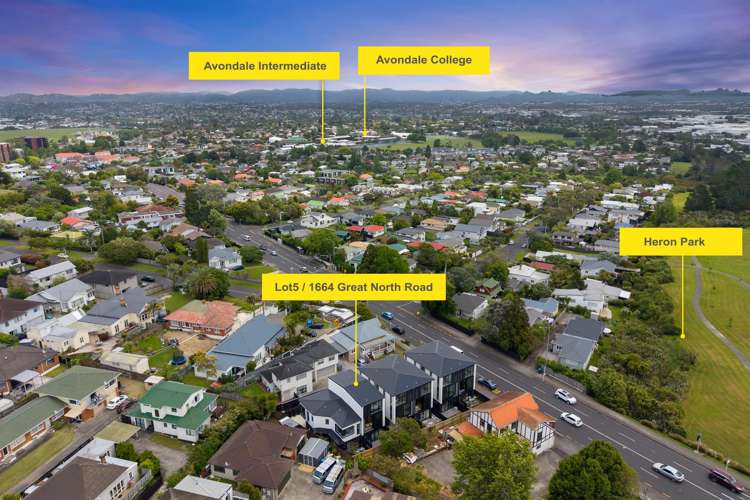 1664E & F Great North Road Avondale_24