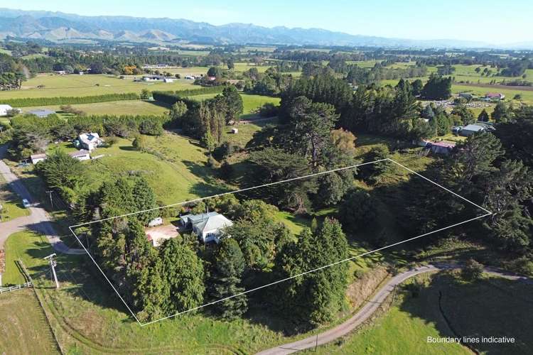 3 Adolphus Street Norsewood_7