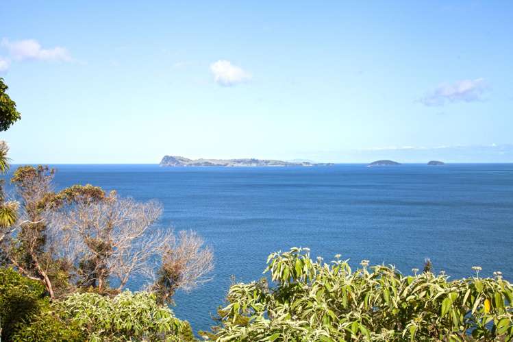 237 Paku Drive Tairua_15