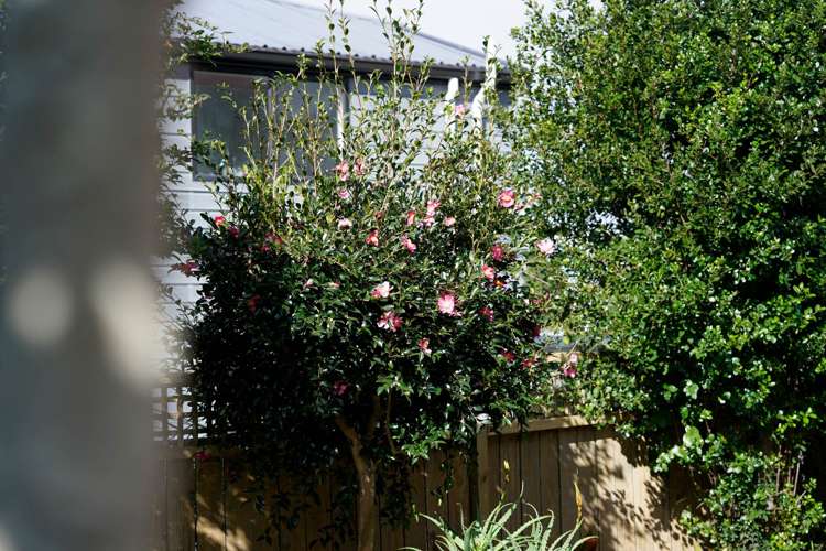 54B Kurahaupo Street Orakei_24