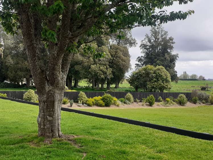 2/84 Herbert Street Kihikihi_28