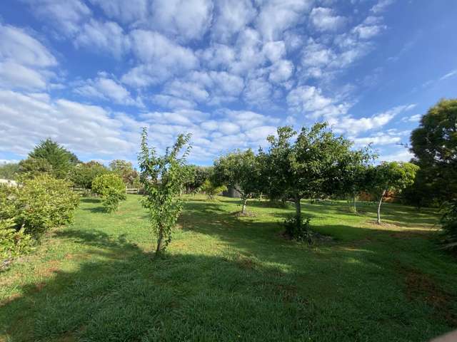 194c Horseshoe Bush Road Dairy Flat_2