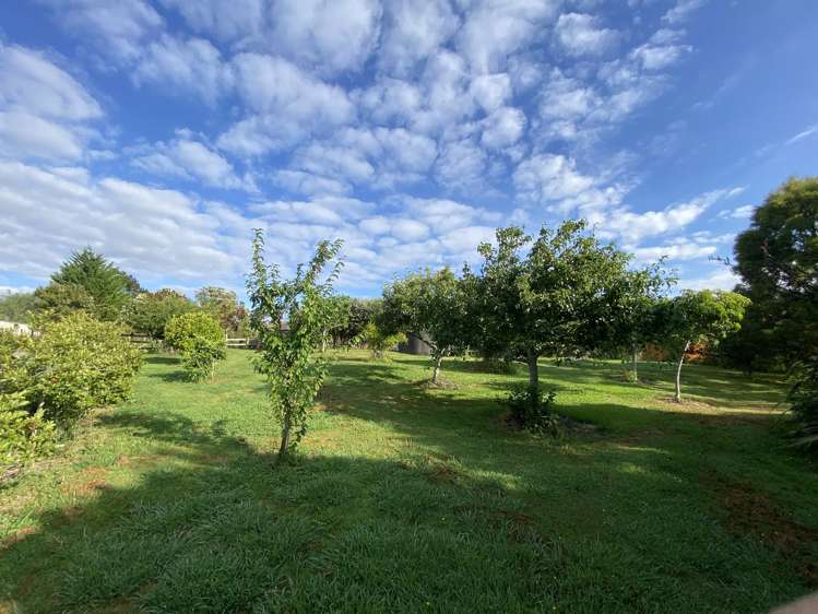 194c Horseshoe Bush Road Dairy Flat_2