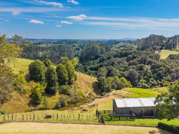 180 Ara-kotinga Whitford_16