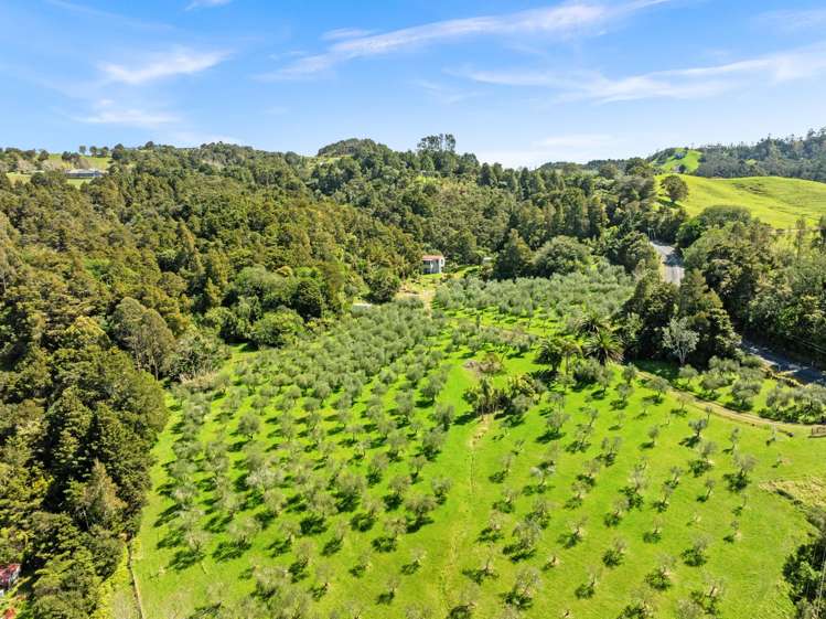 728 Ormiston Road Waipu_2