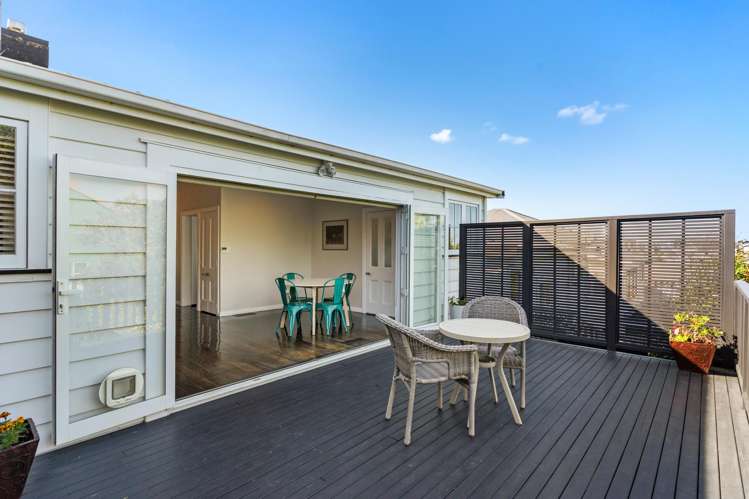 7 Commercial Road Grey Lynn_12