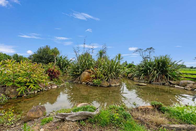 4675 State Highway 12 Ruawai_29