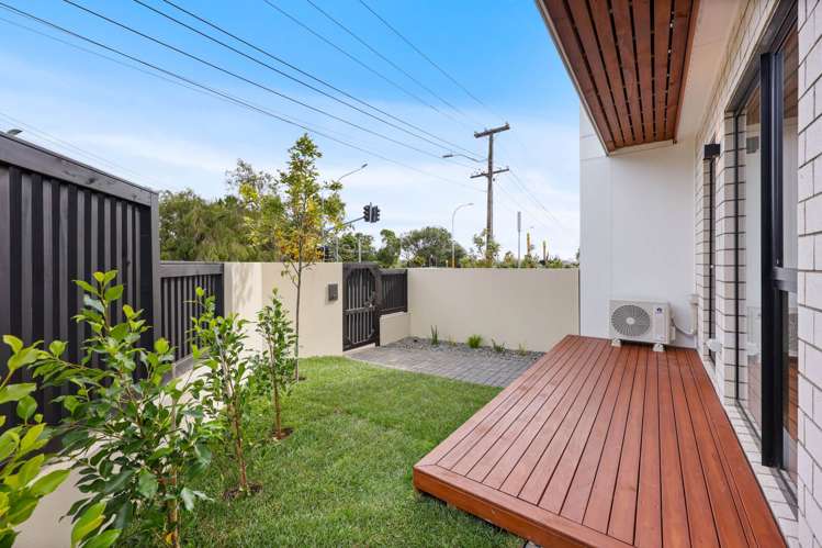 197 Campbell Road Greenlane_13