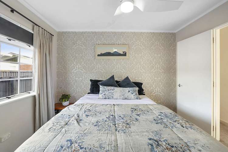 157a Carrington Street Lower Vogeltown_8