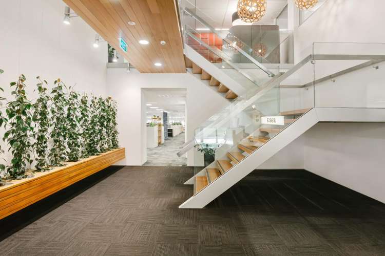 32 Harington Street City Centre_3