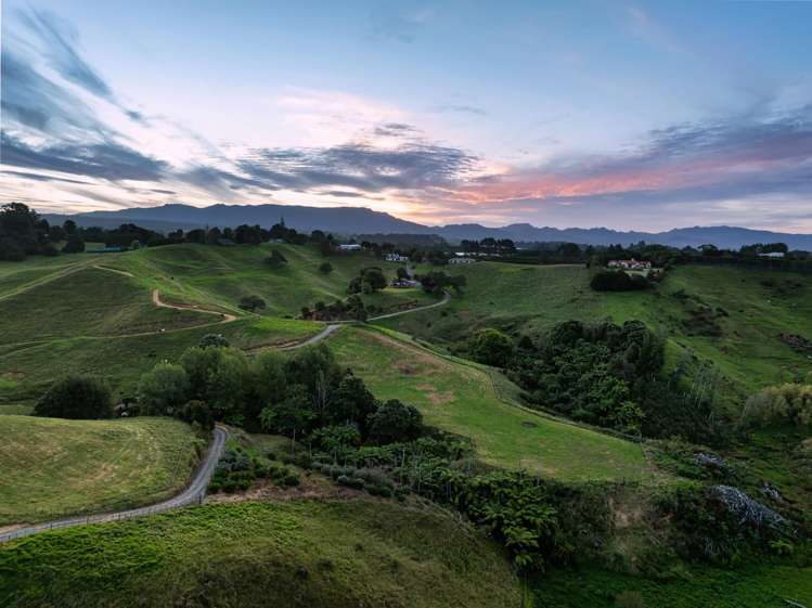 371 Esdaile Road Whakamarama_29