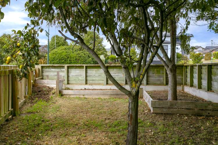 9 Facilita Avenue Wharewaka_21