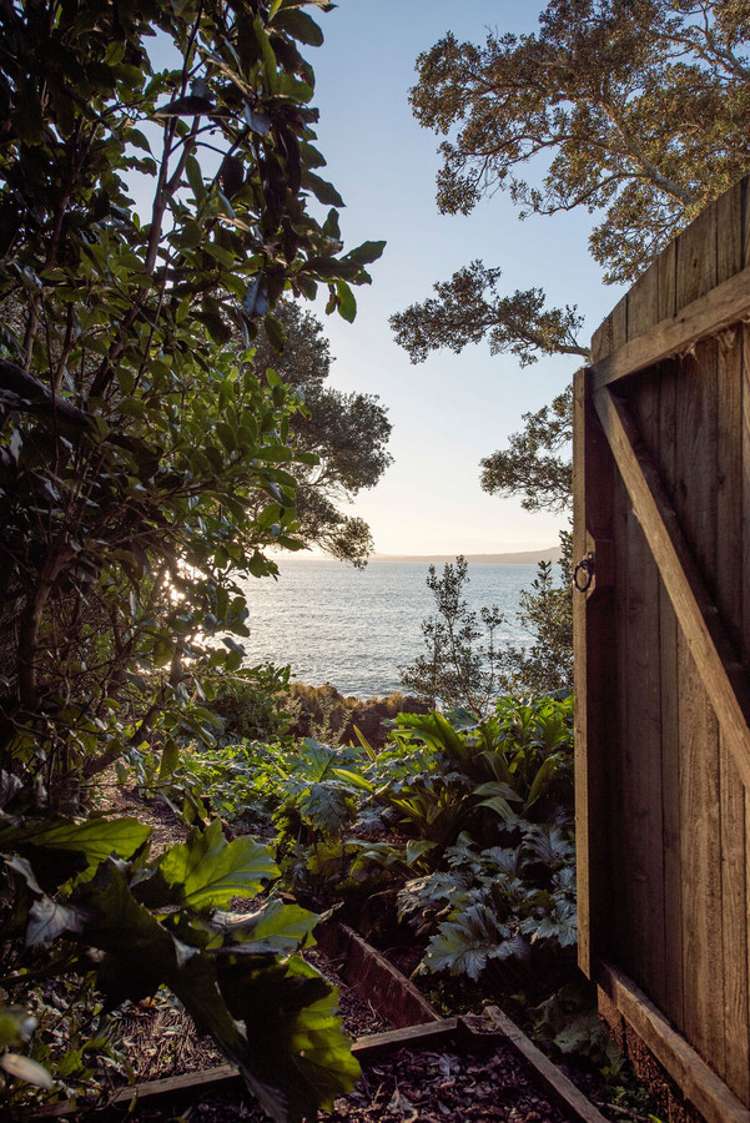 7 Kitchener Road Takapuna_17