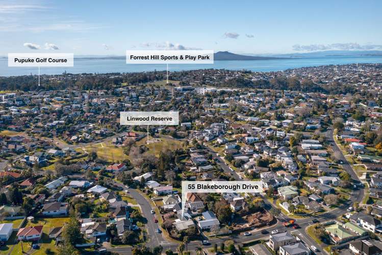 55 Blakeborough Drive Forrest Hill_34