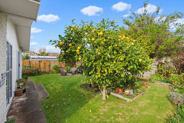 74B Matatua Road Raumati Beach_17