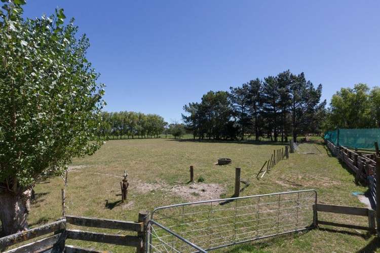 822 Kairanga Bunnythorpe Road Kairanga_40