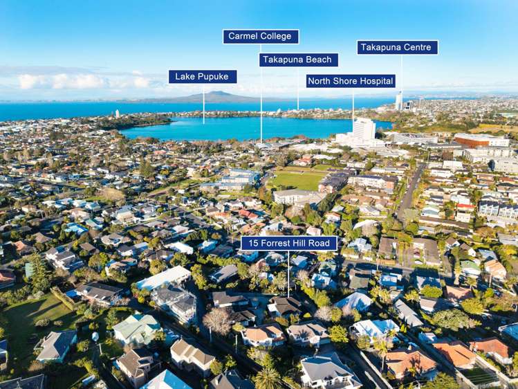 15 Forrest Hill Road Milford_34
