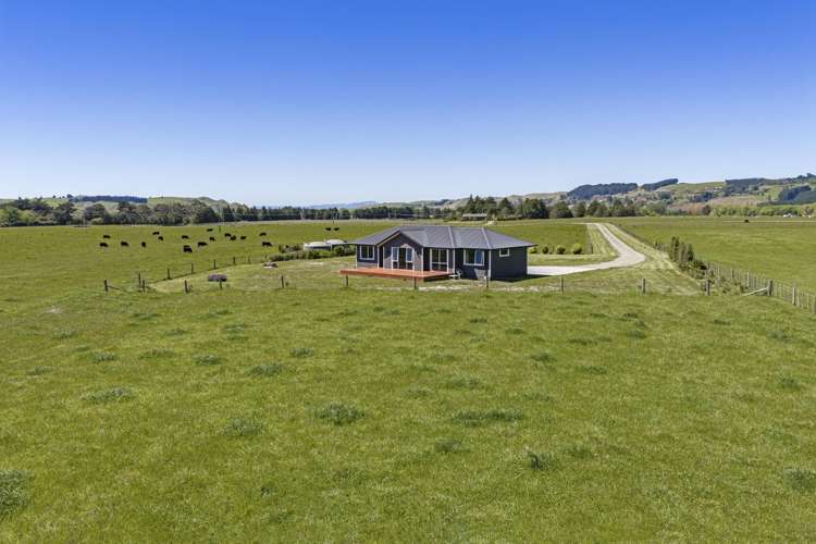 343B Kereru Road Maraekakaho_5