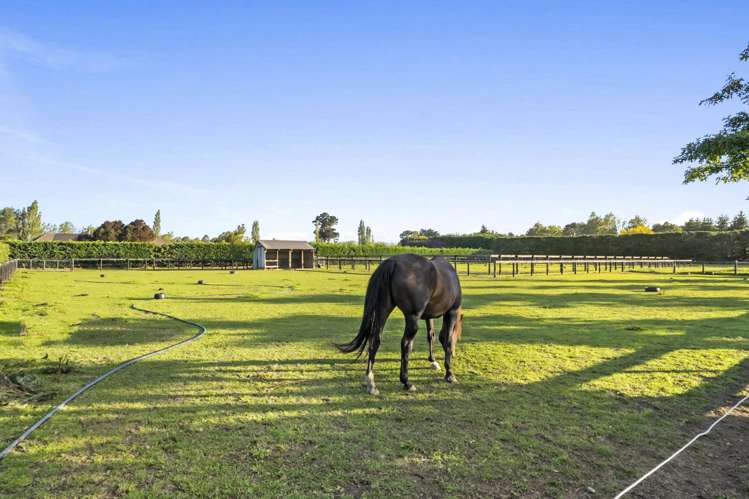 250 Mandeville Road Ohoka_27