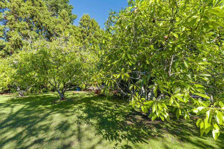 47 Bruntwood Drive Whakamarama_25