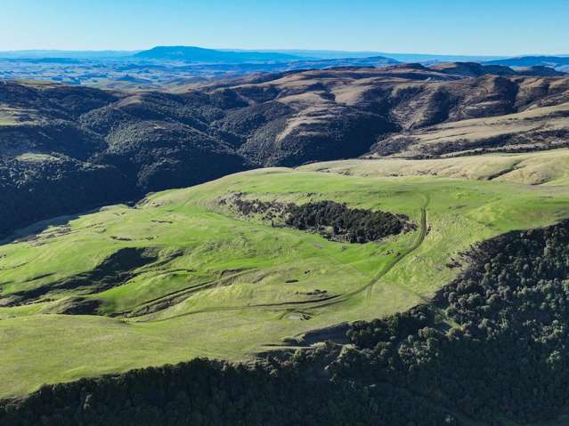 Hole and Corner Road Ferndale_2