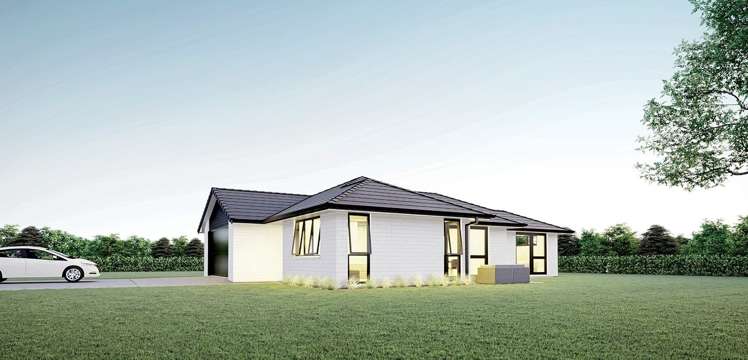 Puriri_4