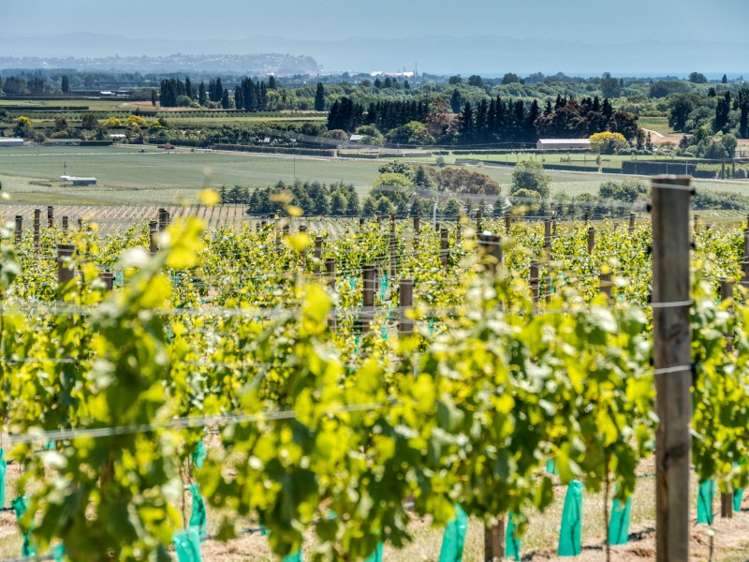 338 Te Mata Road Havelock North_1