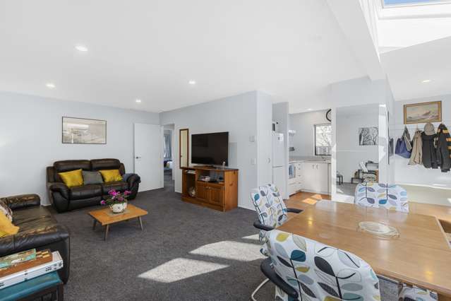 24a Richmond Street Petone_3