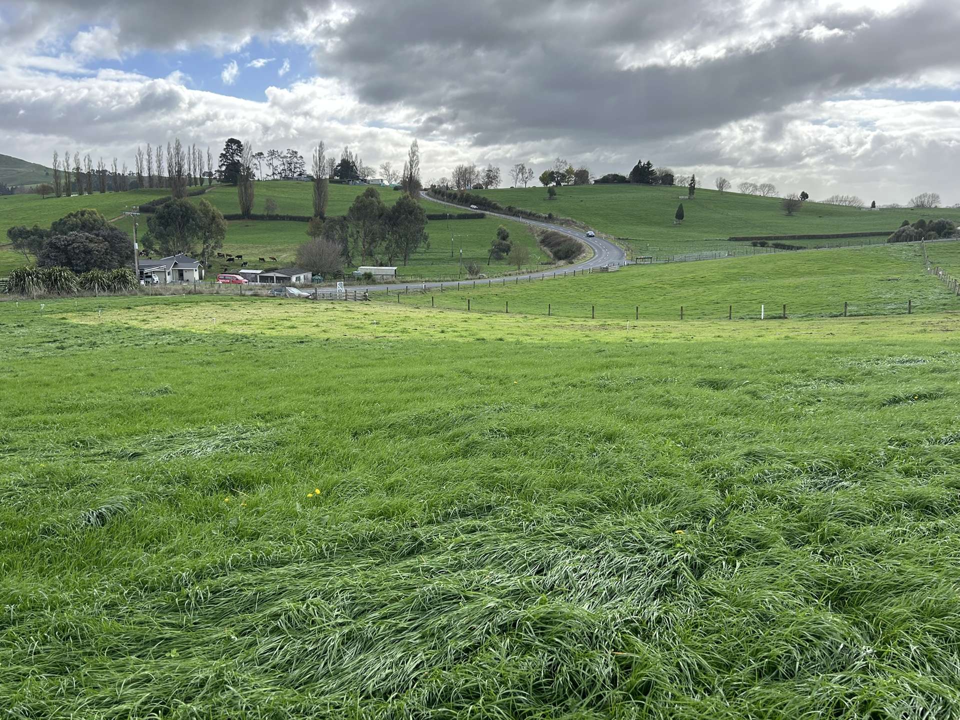 173 Ngahape Road Te Awamutu_0