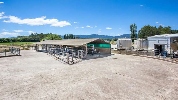 128 Mangamutu Road Murupara Surrounds_7