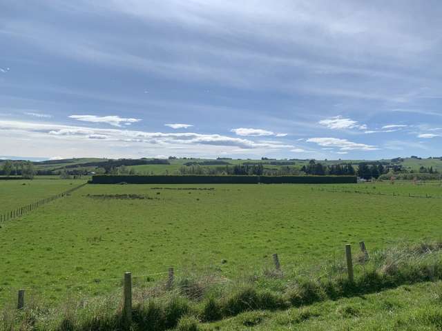 Dee Street West Otago Surrounds_2