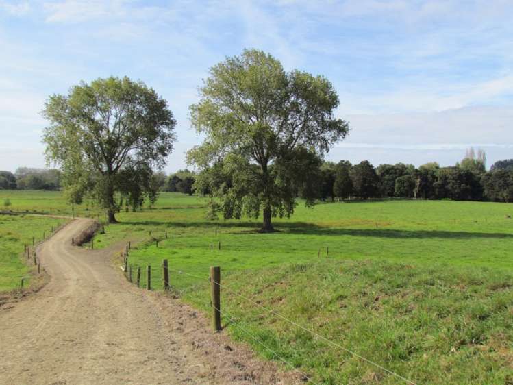 353 Wilson Road Pakotai_14