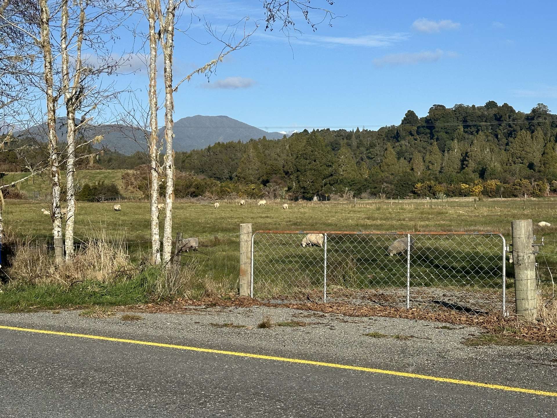 Lot 2 Lake Kaniere Road Kaniere_0