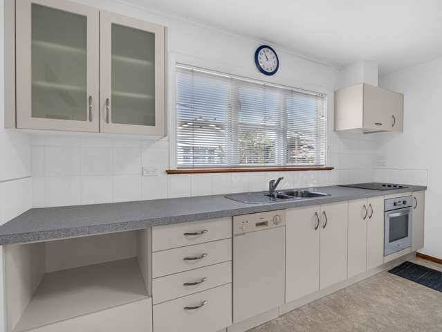 3 Roosevelt Street Levin_4