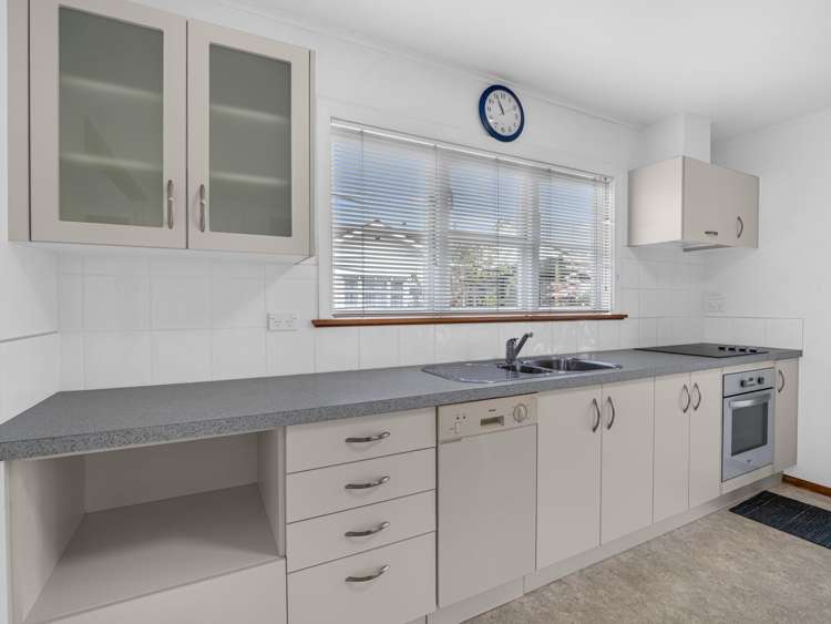 3 Roosevelt Street Levin_4