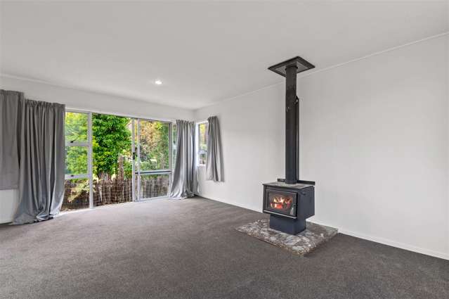 45 Collie Drive Pukehangi_1