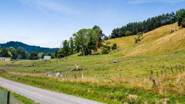 Tangahoe Valley Road Ohangai_2