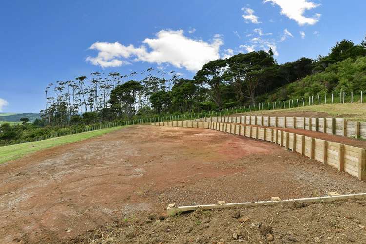 113 West Road Kaukapakapa_6