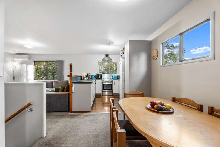 38 Jeffs Road Dairy Flat_8