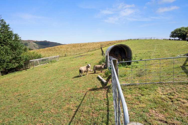 87 Haurua Road Otorohanga_23