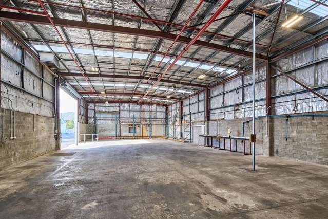 69 Waione Street Petone_4