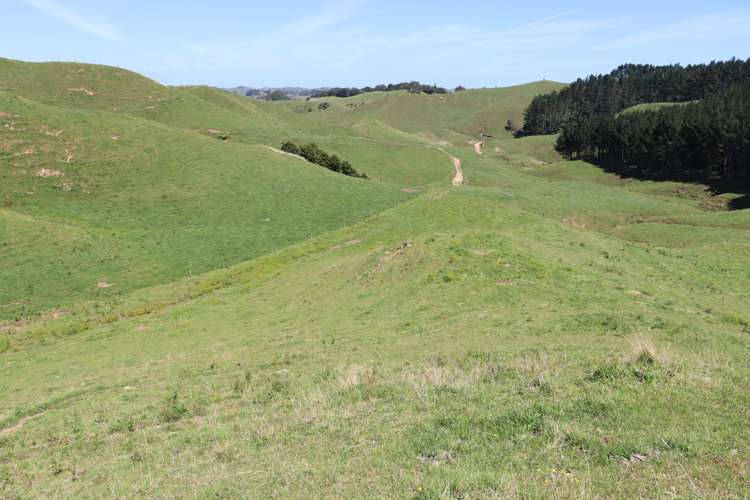 102 Manu Road Te Popo_27