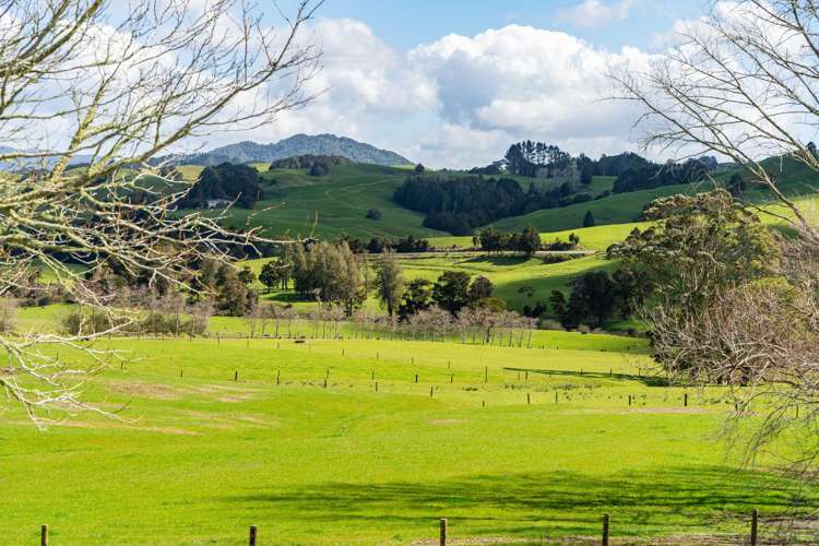 17 Coote Road Ruatangata_8