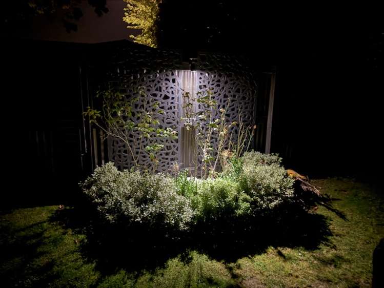 161a Talbot Street Geraldine_29